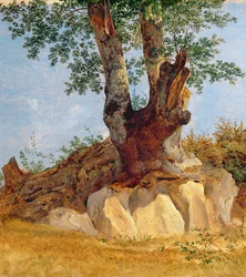 Un arbre en Campagne, 1822-23